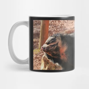 The Bear Necessities Mug